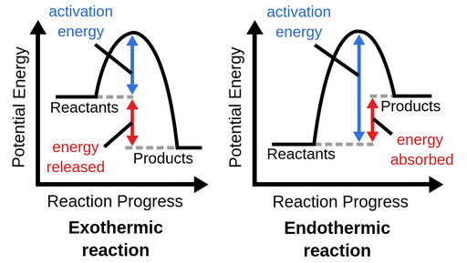 Endothermic & Exothermic Diagram