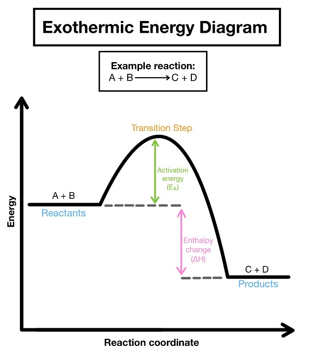 Exothermic Reaction Diagram
